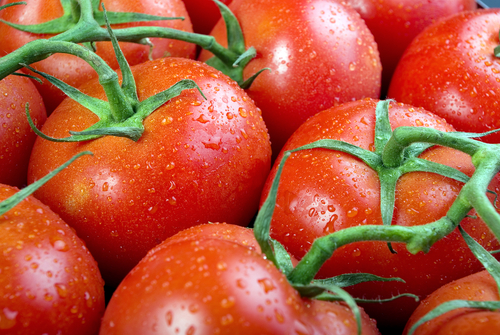 tomato close up