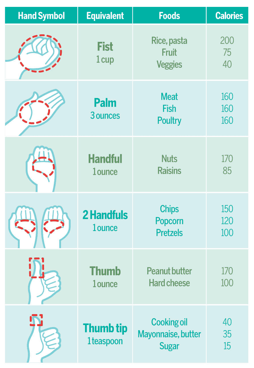 Portion Sizes Plate