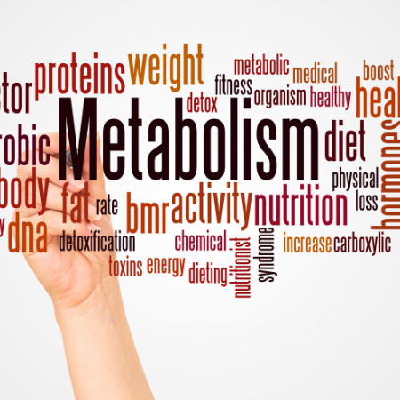 Can We Really Blame a Slowing Metabolism?