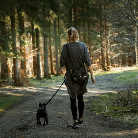 5 Ways to Work Out with Your Furry Friend